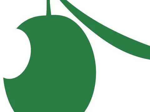 295066466_476461407812386_8206286529127813235_n